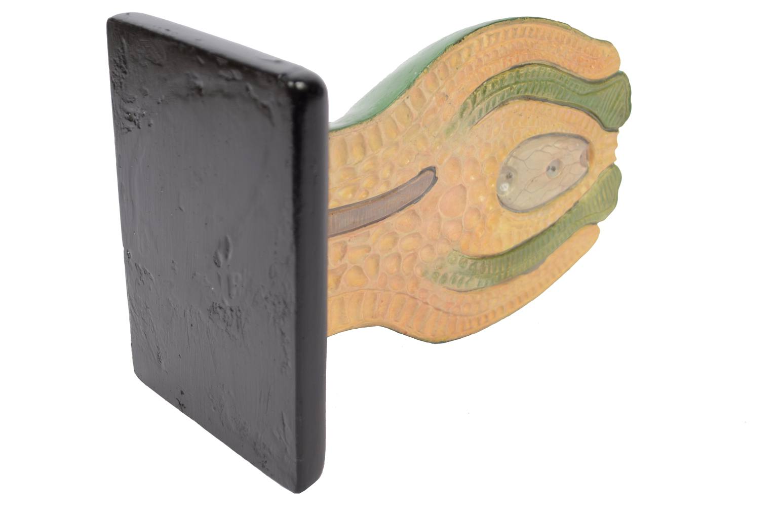 Natural history/61061-Syconium 1930