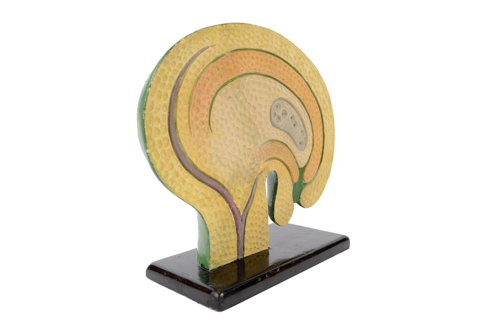 Natural history/61062-Syconium 1930