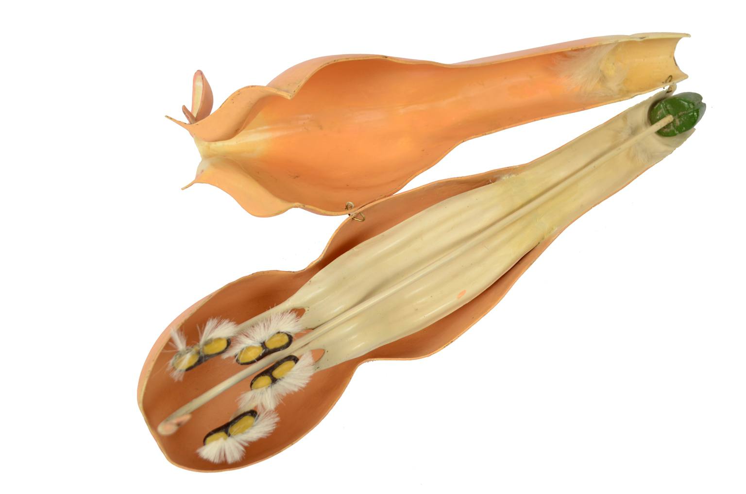 Natural history/6108-Lamium purpureum