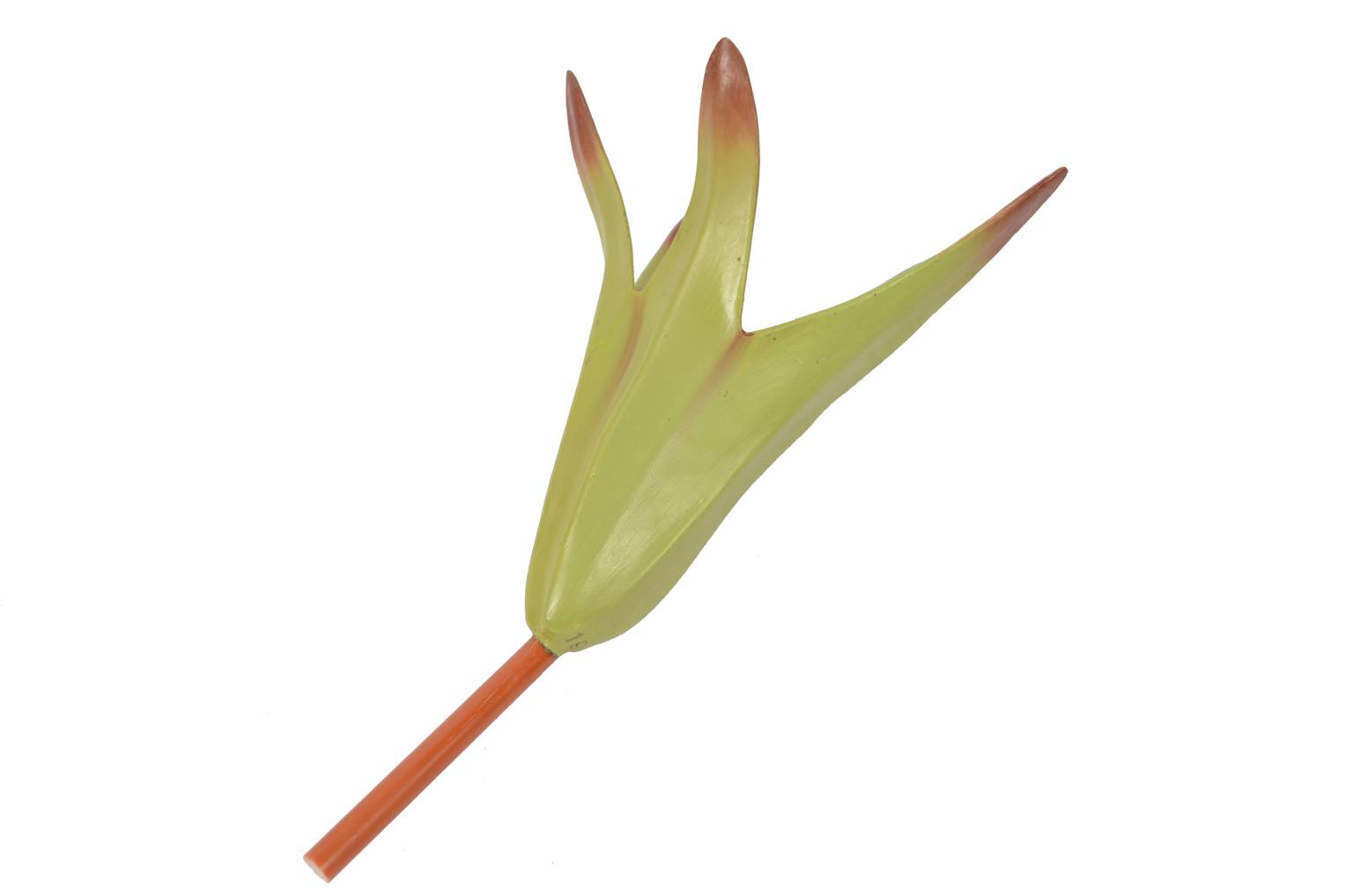 Natural history/6108-Lamium purpureum