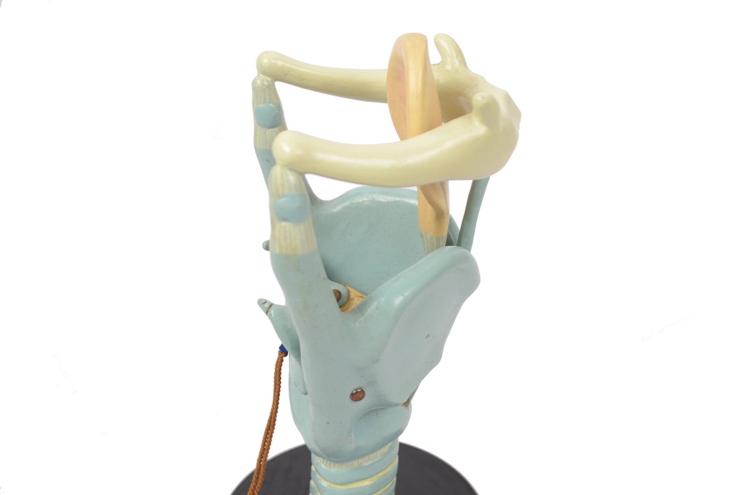 Strumenti medici d'epoca/6132-Modello trachea