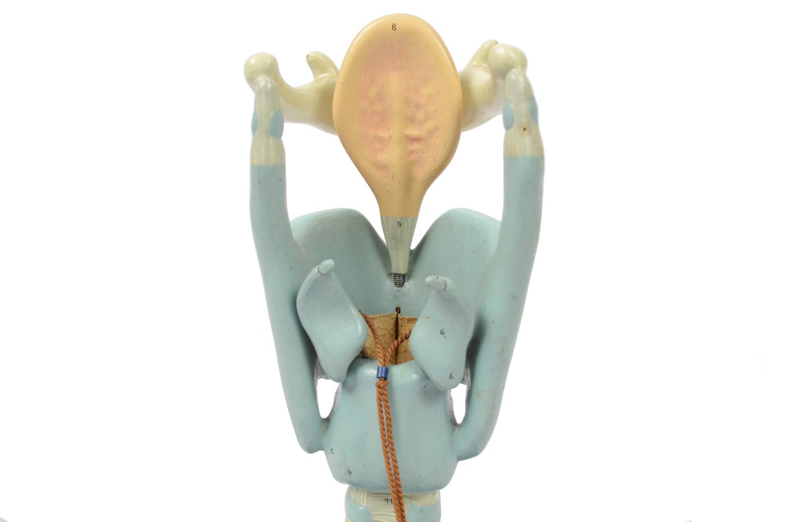 Old medical instruments/6132-Trachea model