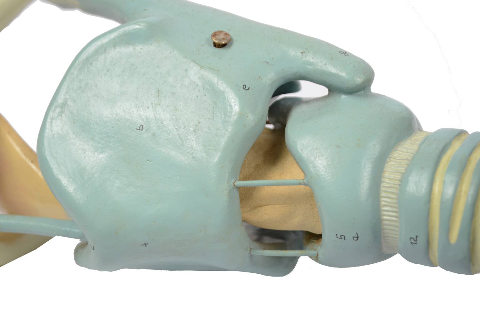 Old medical instruments/6132-Trachea model