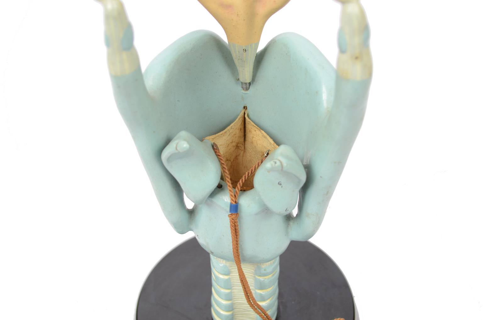 Strumenti medici d'epoca/6132-Modello trachea