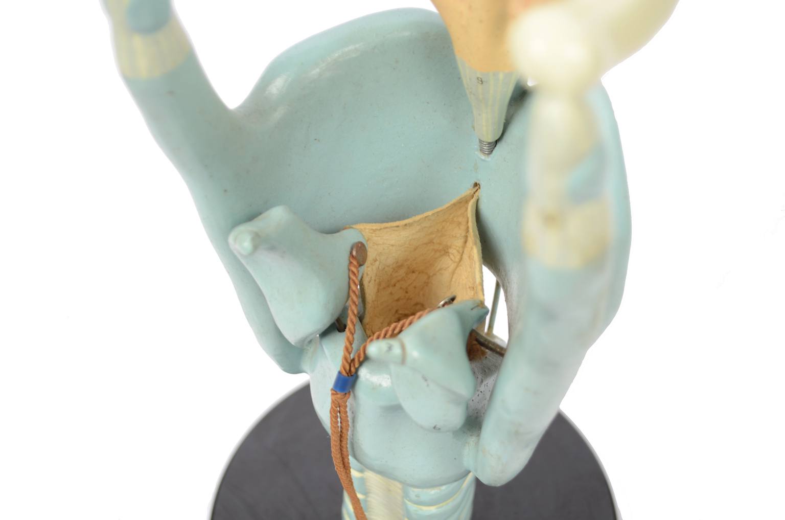 Old medical instruments/6132-Trachea model