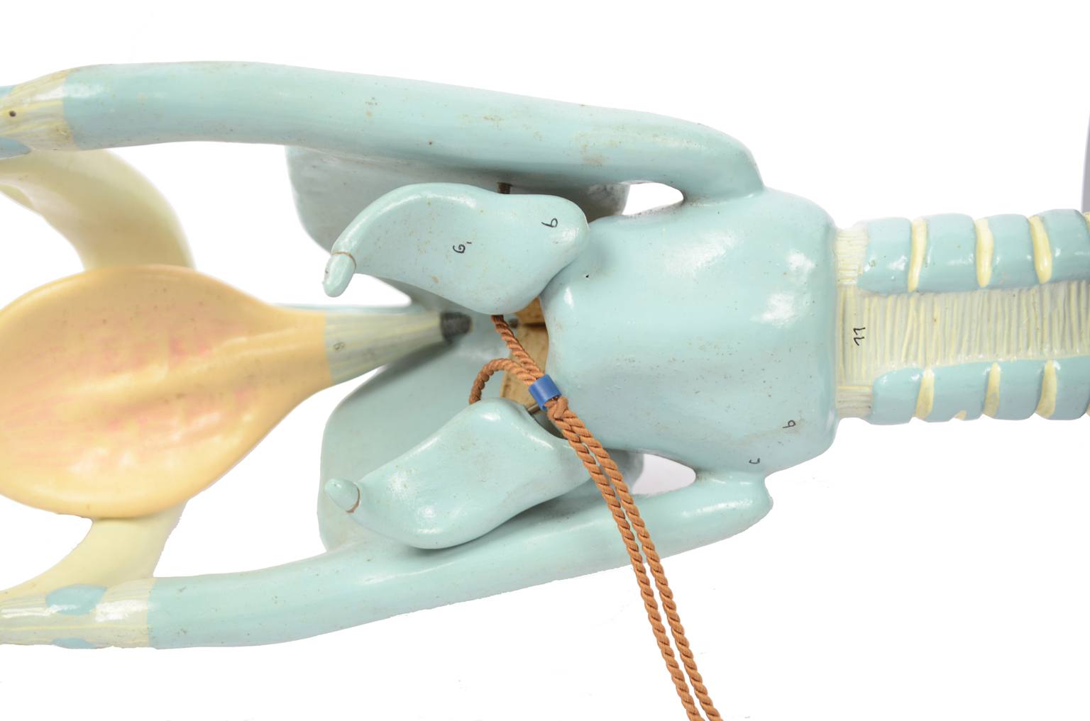 Old medical instruments/6132-Trachea model