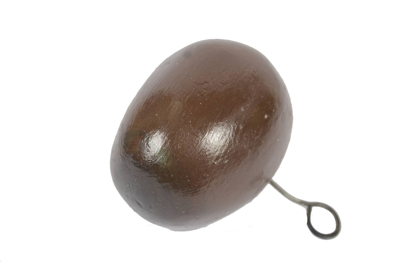 Natural history/6369-Marchantia model