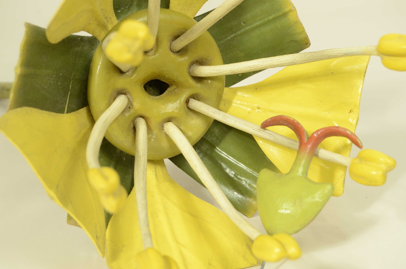 Natural history/704a-Botanical Model