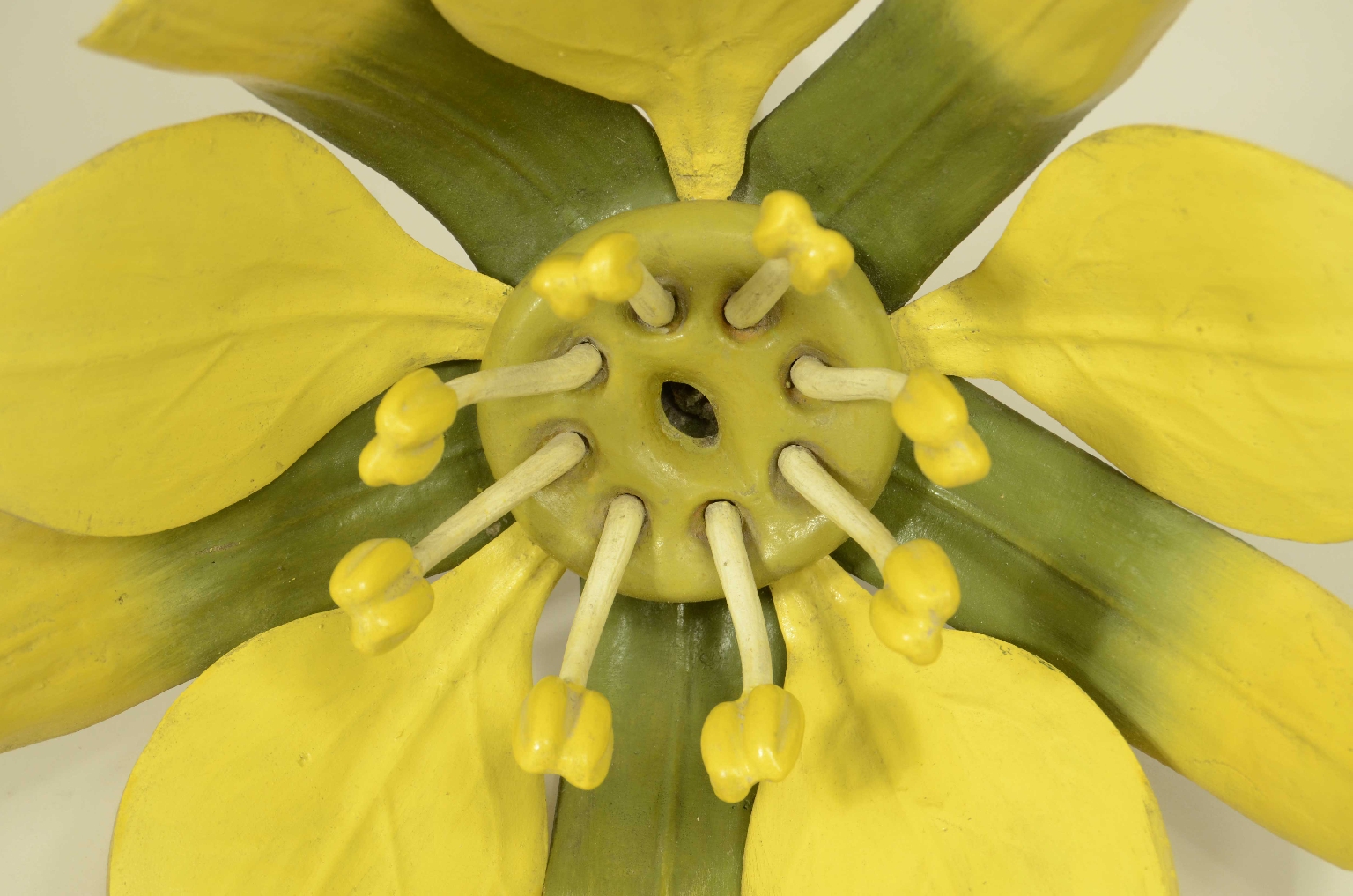 Storia naturale/704a-Modello Botanico Acero 