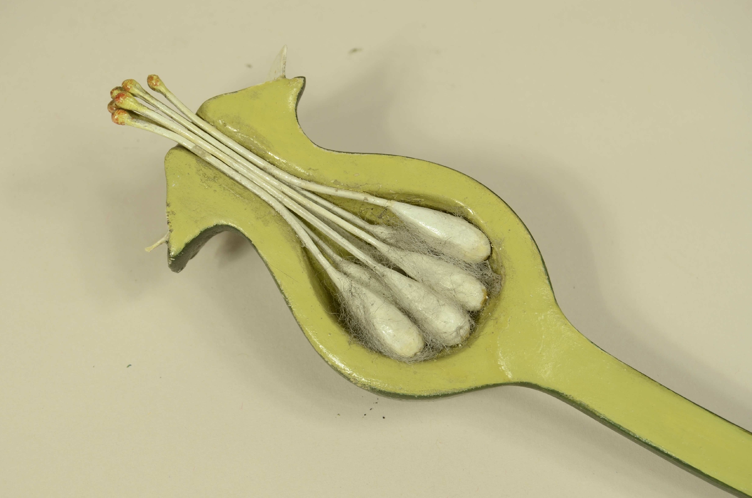 Natural history/704b-Botanical Model