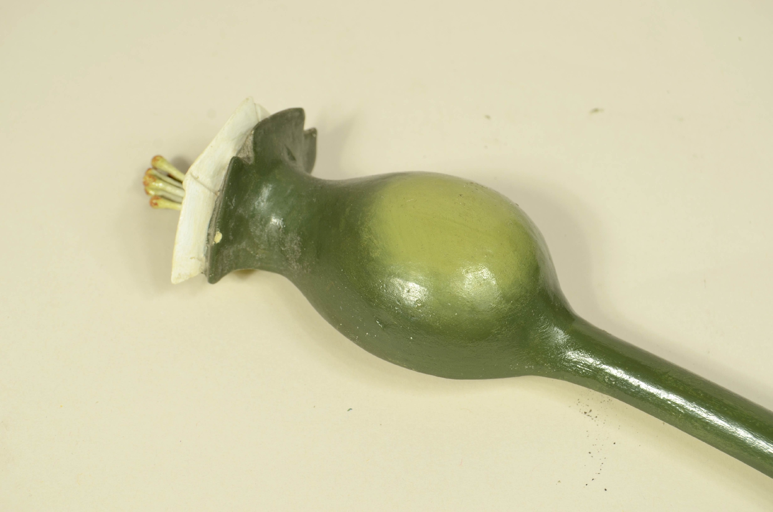 Natural history/704b-Botanical Model