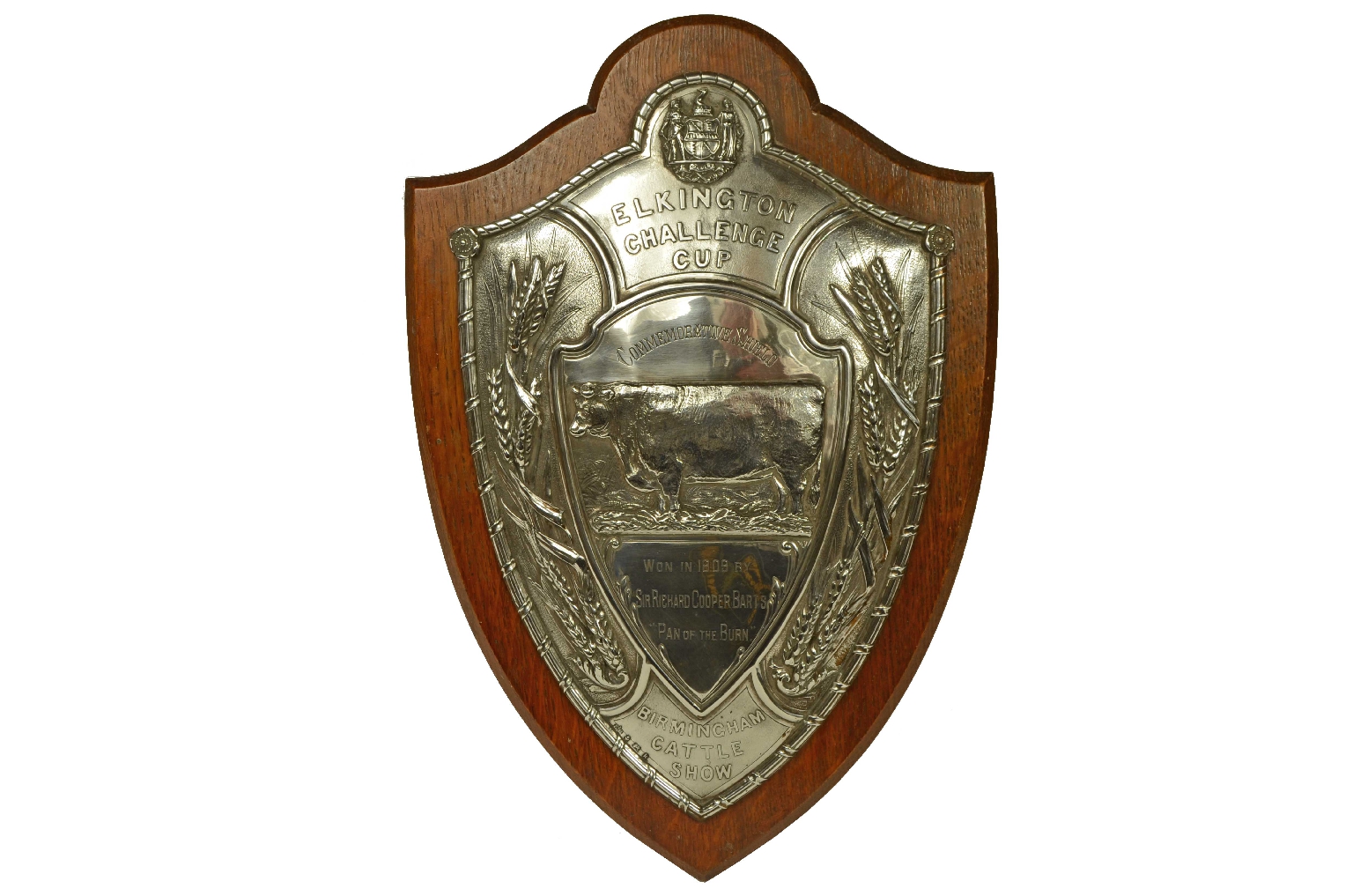 Peculiarity/724-Trophy Shield