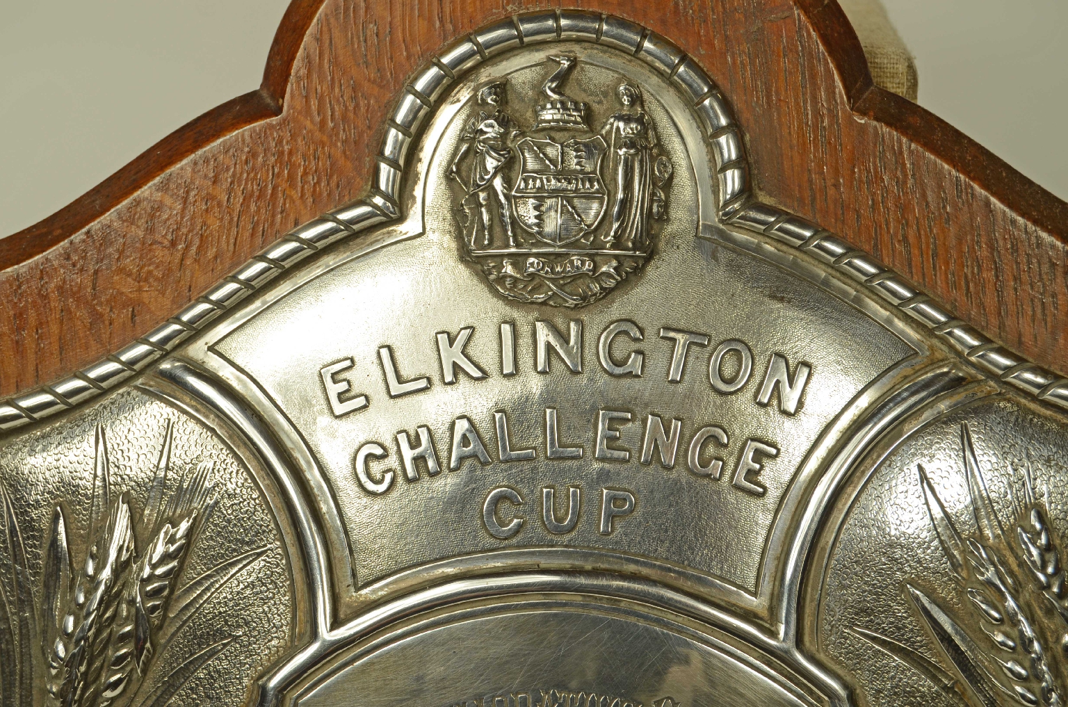 Peculiarity/724-Trophy Shield