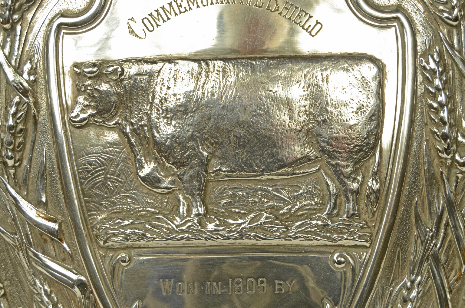 Peculiarity/724-Trophy Shield