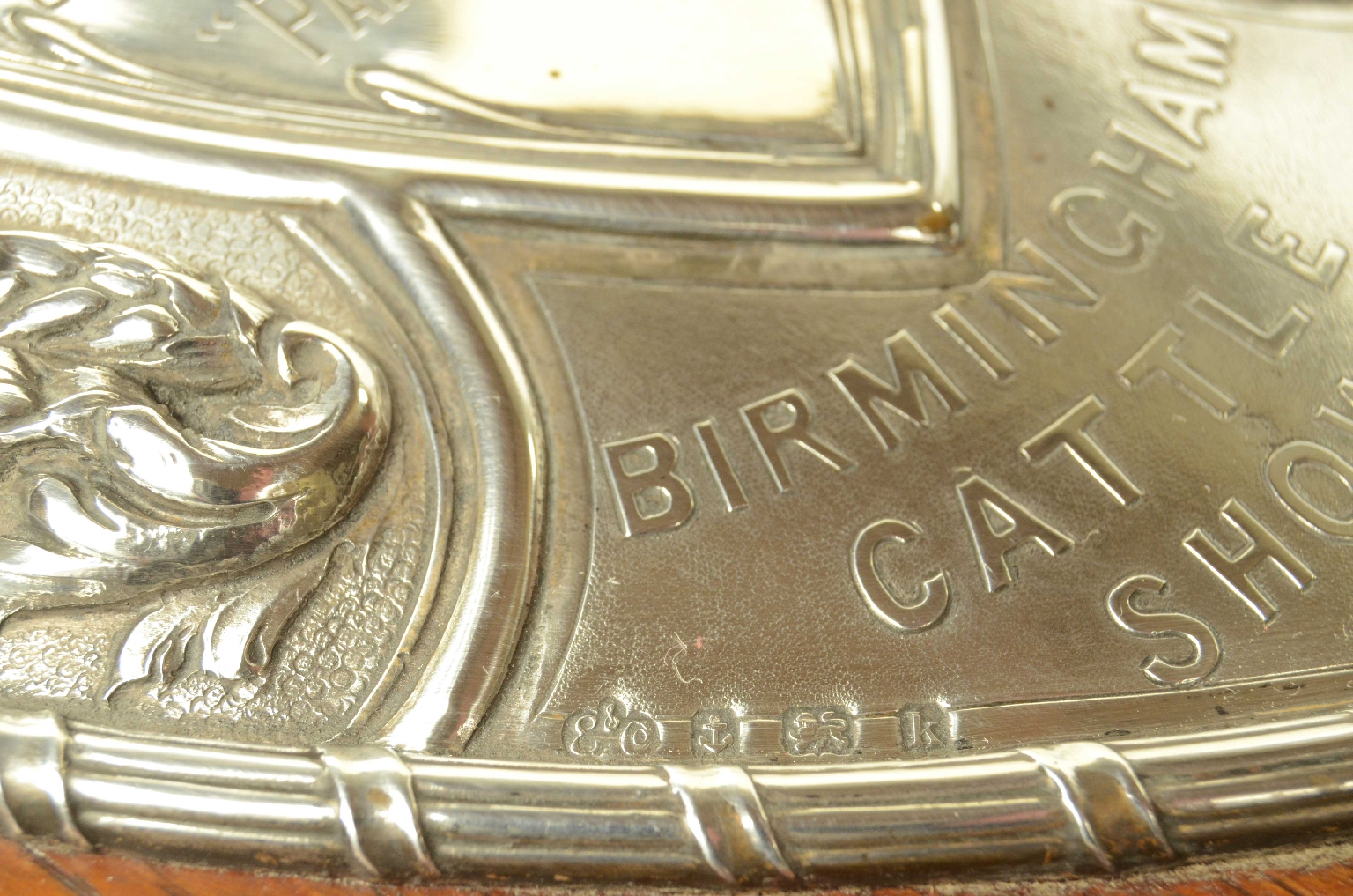 Curiosit&agrave;/724-Scudo Trofeo  