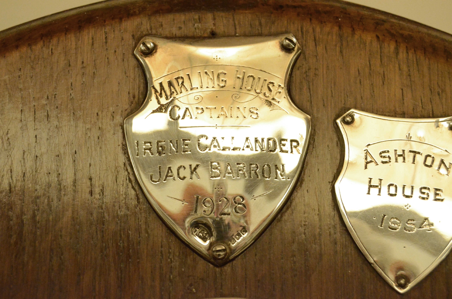 Curiosità/725-Imponente scudo da sfida