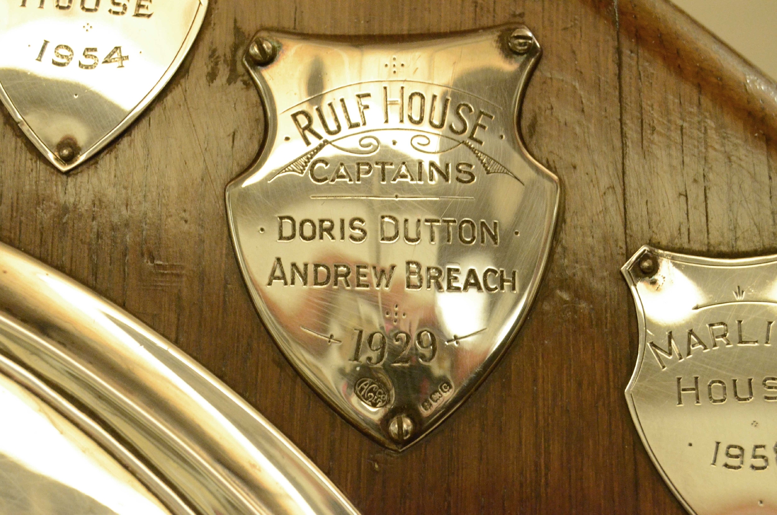 Curiosit&agrave;/725-Imponente  scudo da sfida