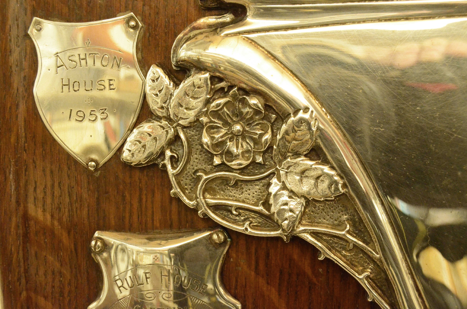 Curiosità/725-Imponente scudo da sfida