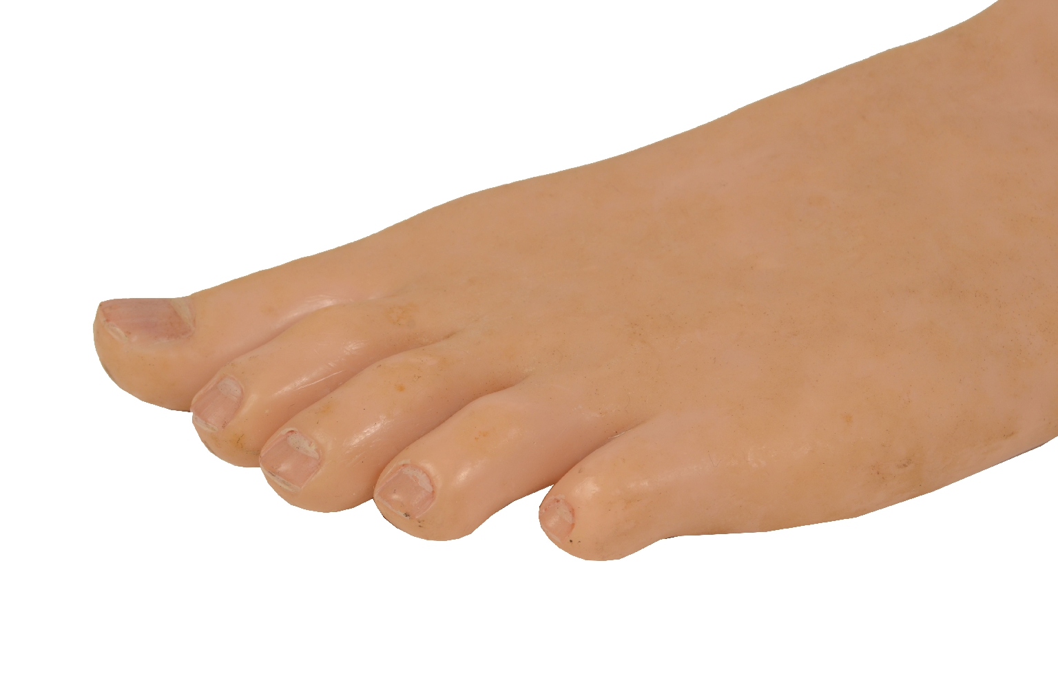 Old medical instruments/7306-Flat Foot Model