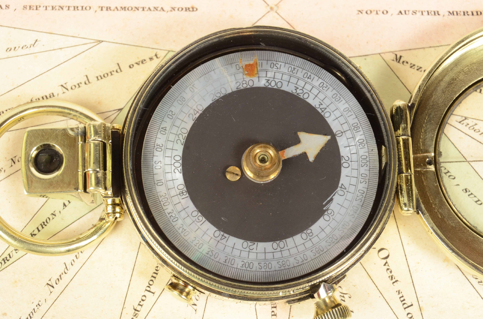 Antique compasses/7438-Pocket Compass