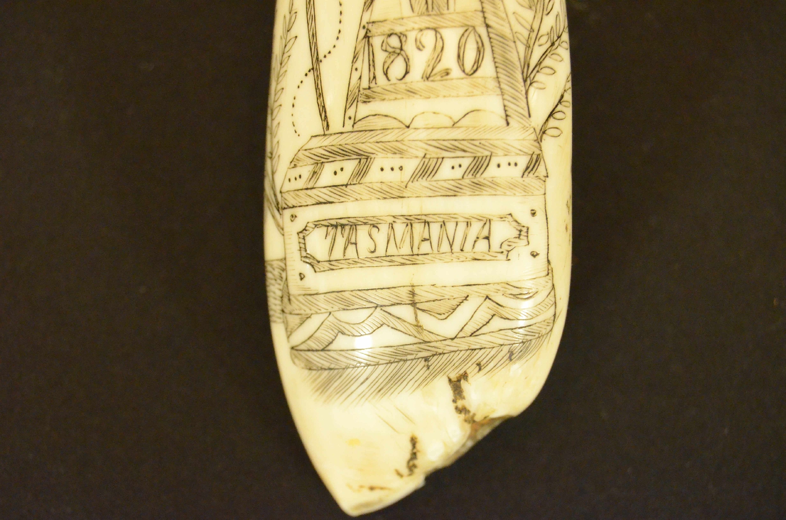 e-Shop/Nautical antiques/Code 7800 Scrimshaw