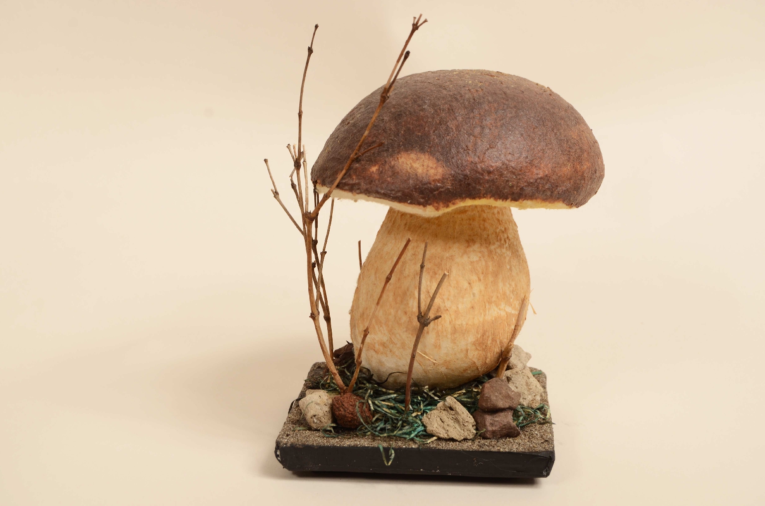 Natural history/7914-Model Porcini