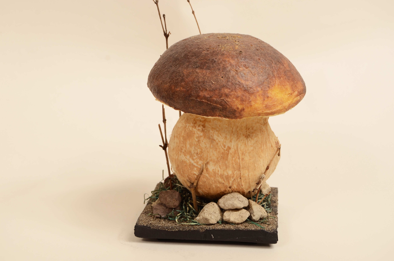 Natural history/7914-Model Porcini