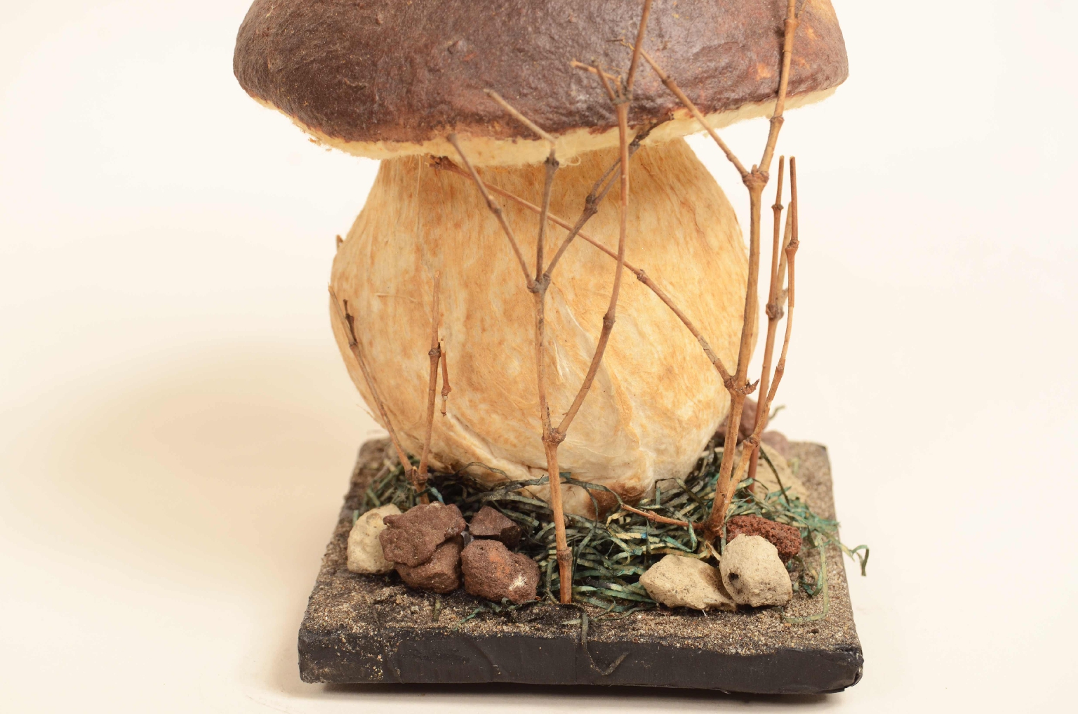 Natural history/7914-Model Porcini