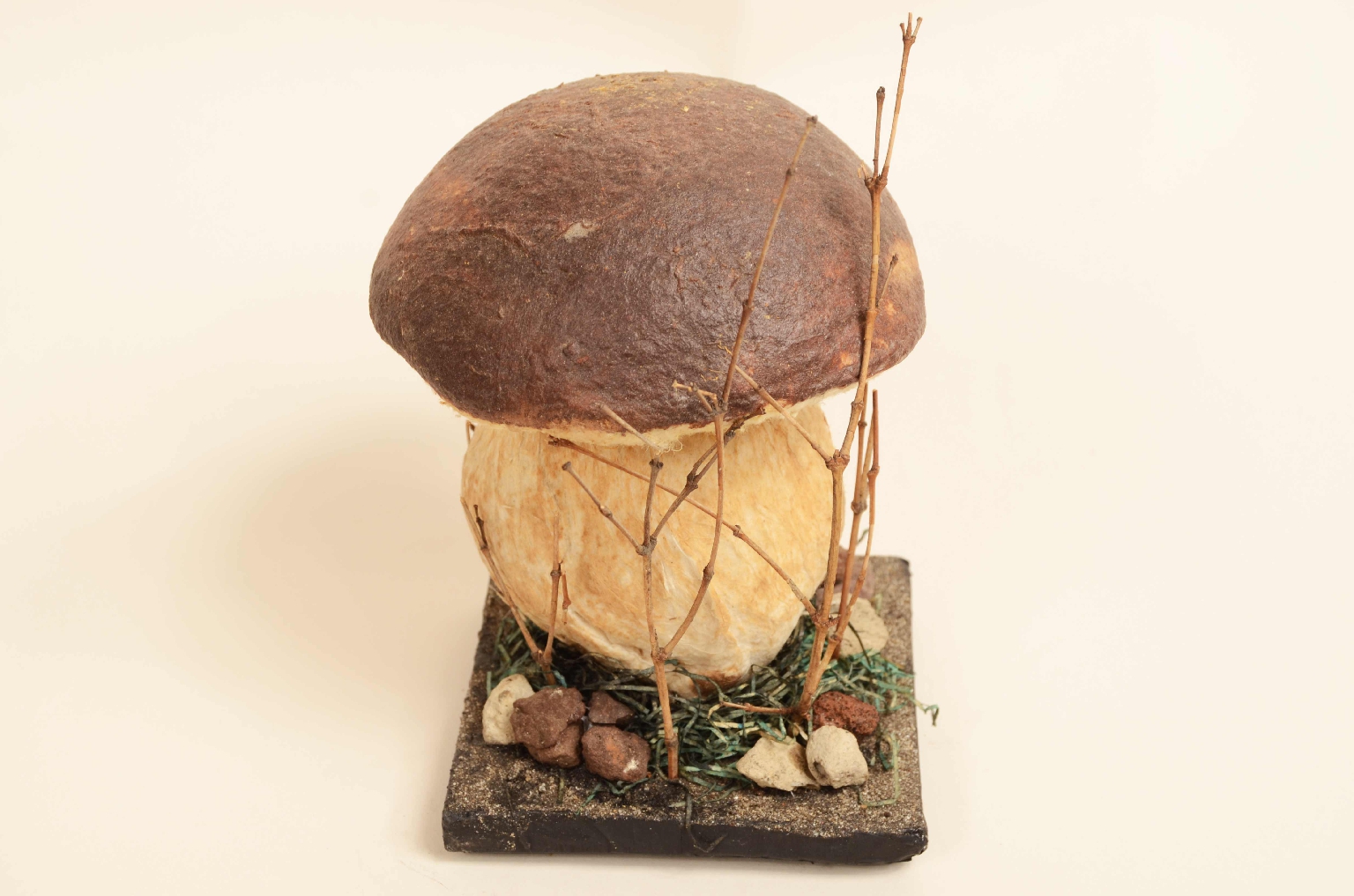 Natural history/7914-Model Porcini