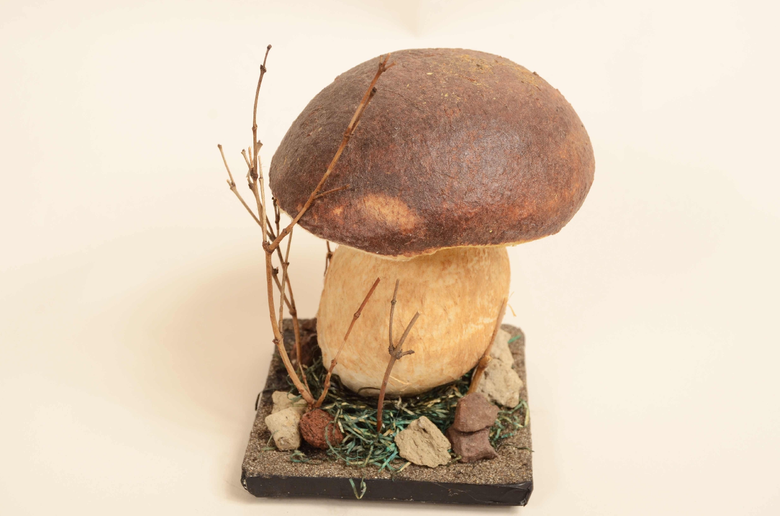Natural history/7914-Model Porcini