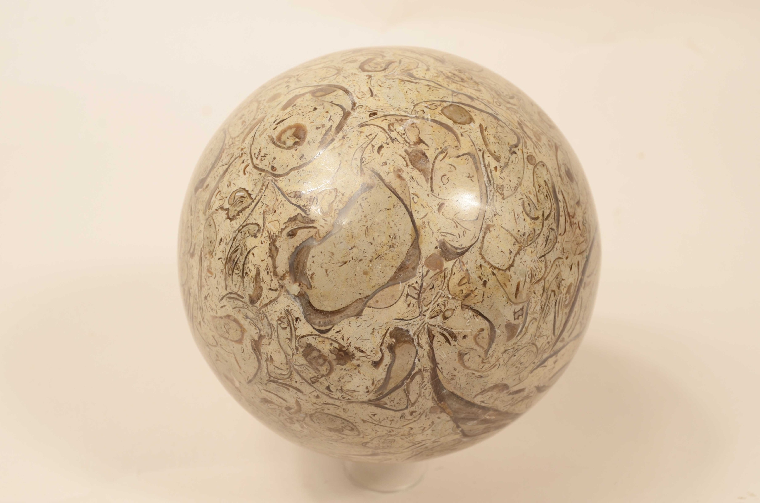 Natural history/8105a-Lumachella