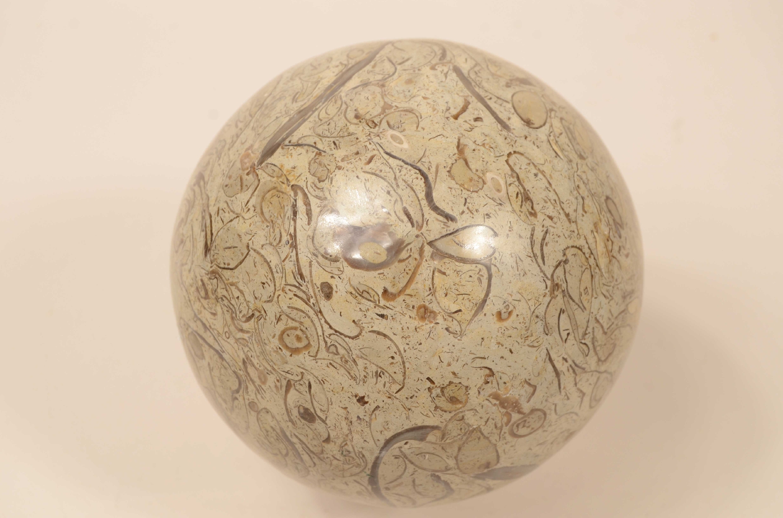 Natural history/8105a-Lumachella