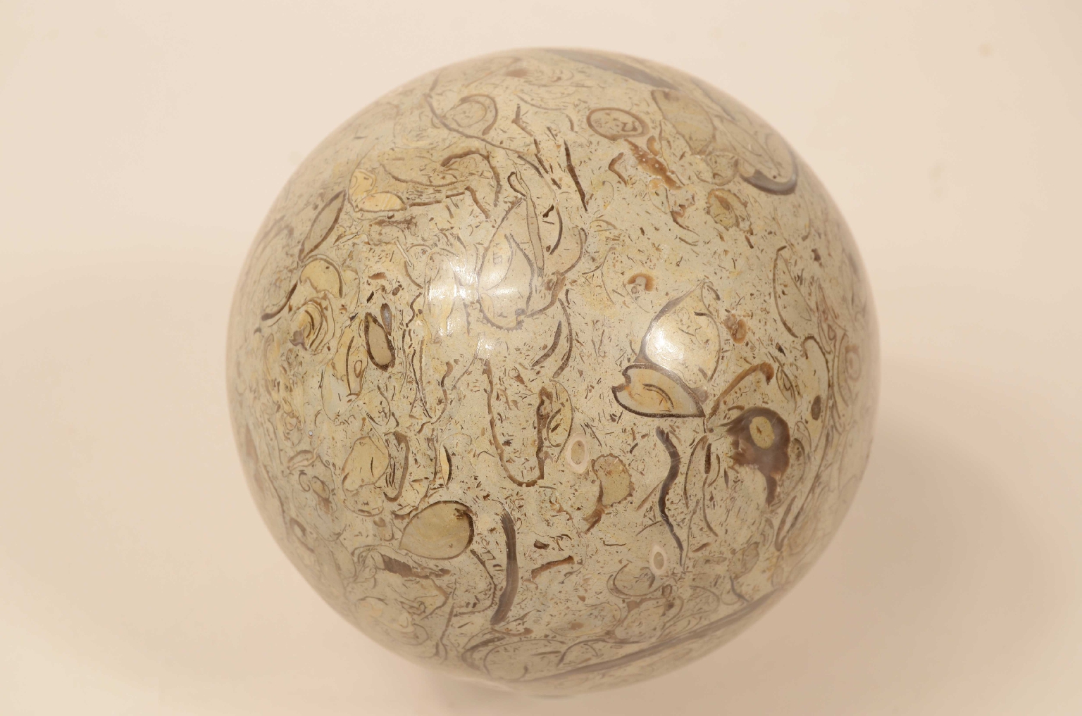 Natural history/8105a-Lumachella