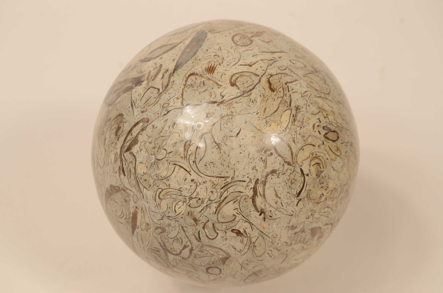 Natural history/8105a-Lumachella