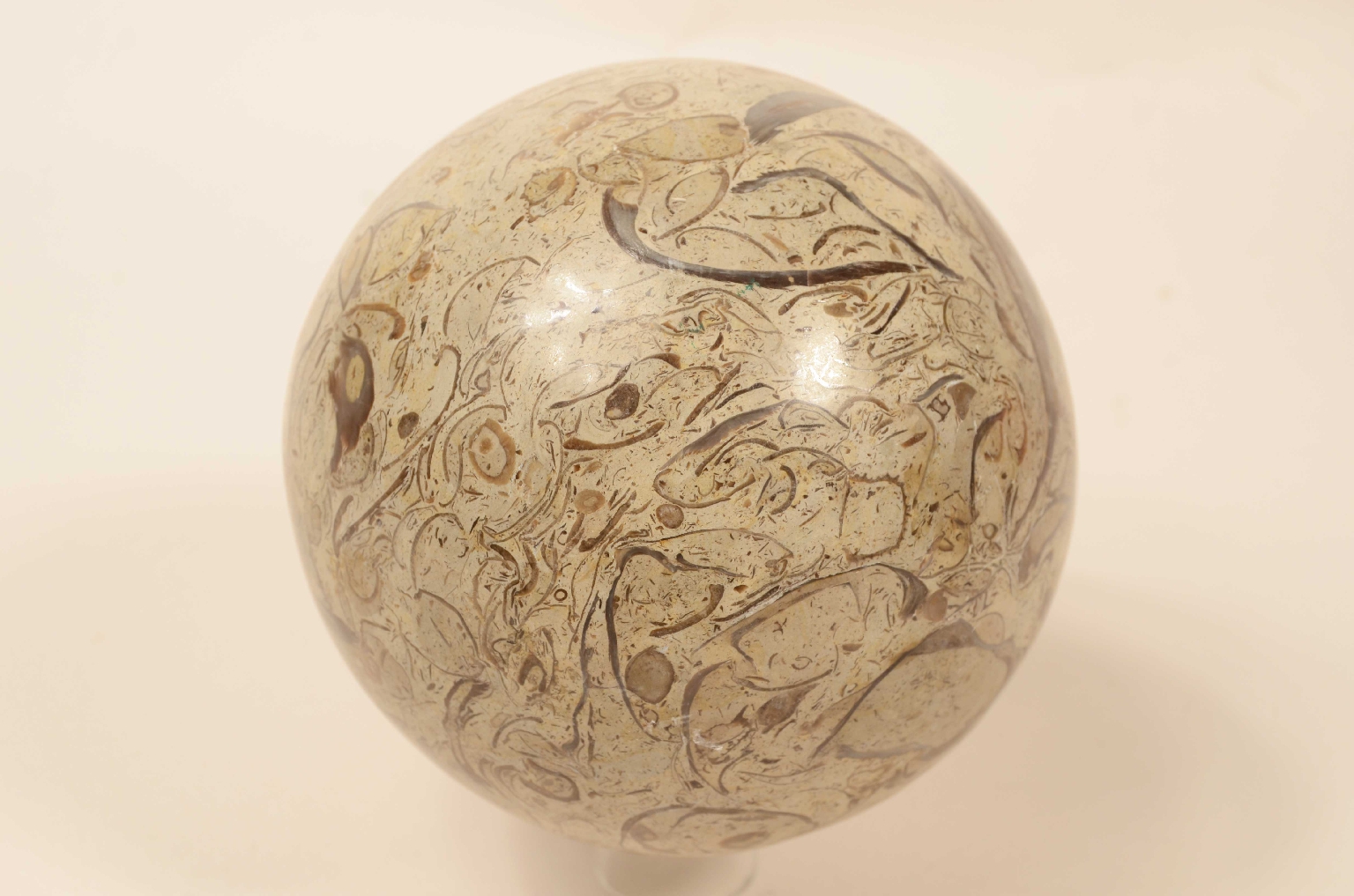 Natural history/8105a-Lumachella