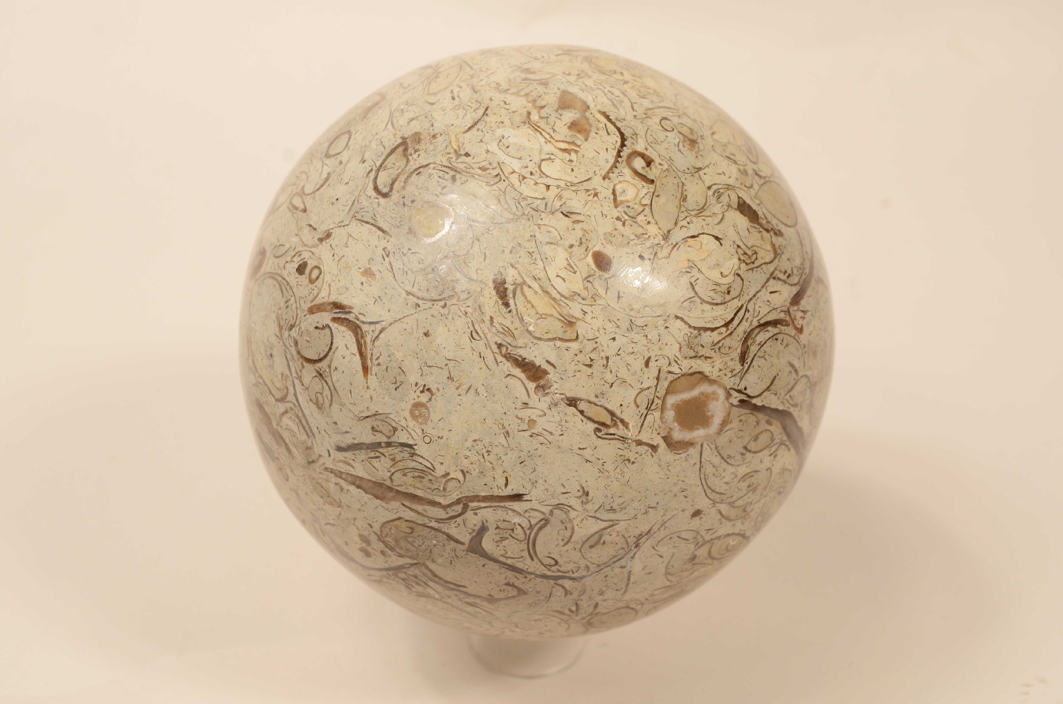 Natural history/8105a-Lumachella