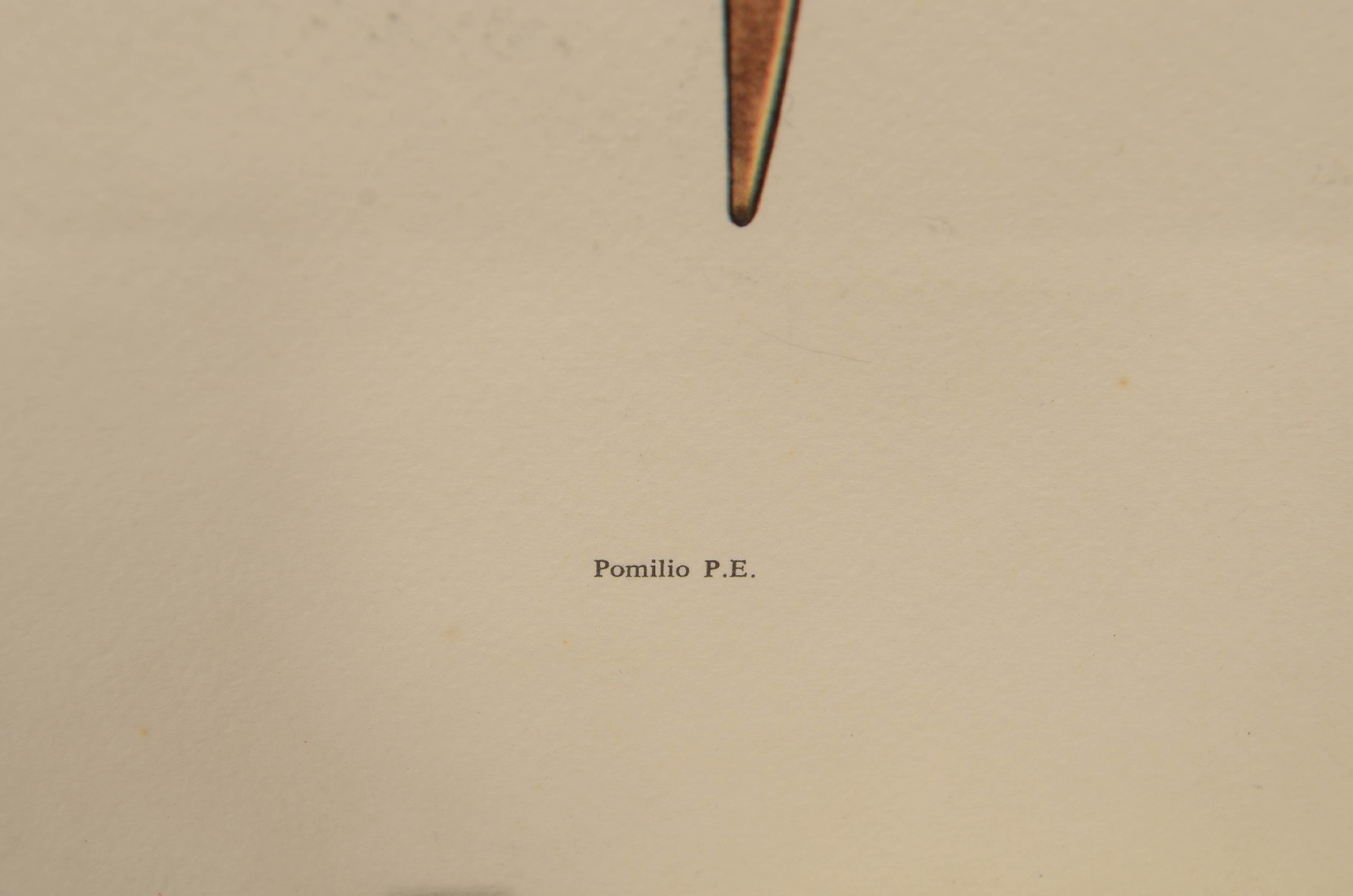 Aerei d’epoca/8154c-Stampa a Colori