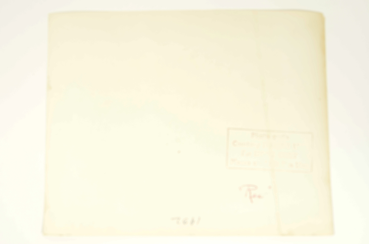 Transatlantico REX/R130-Foto REX in Navigazione