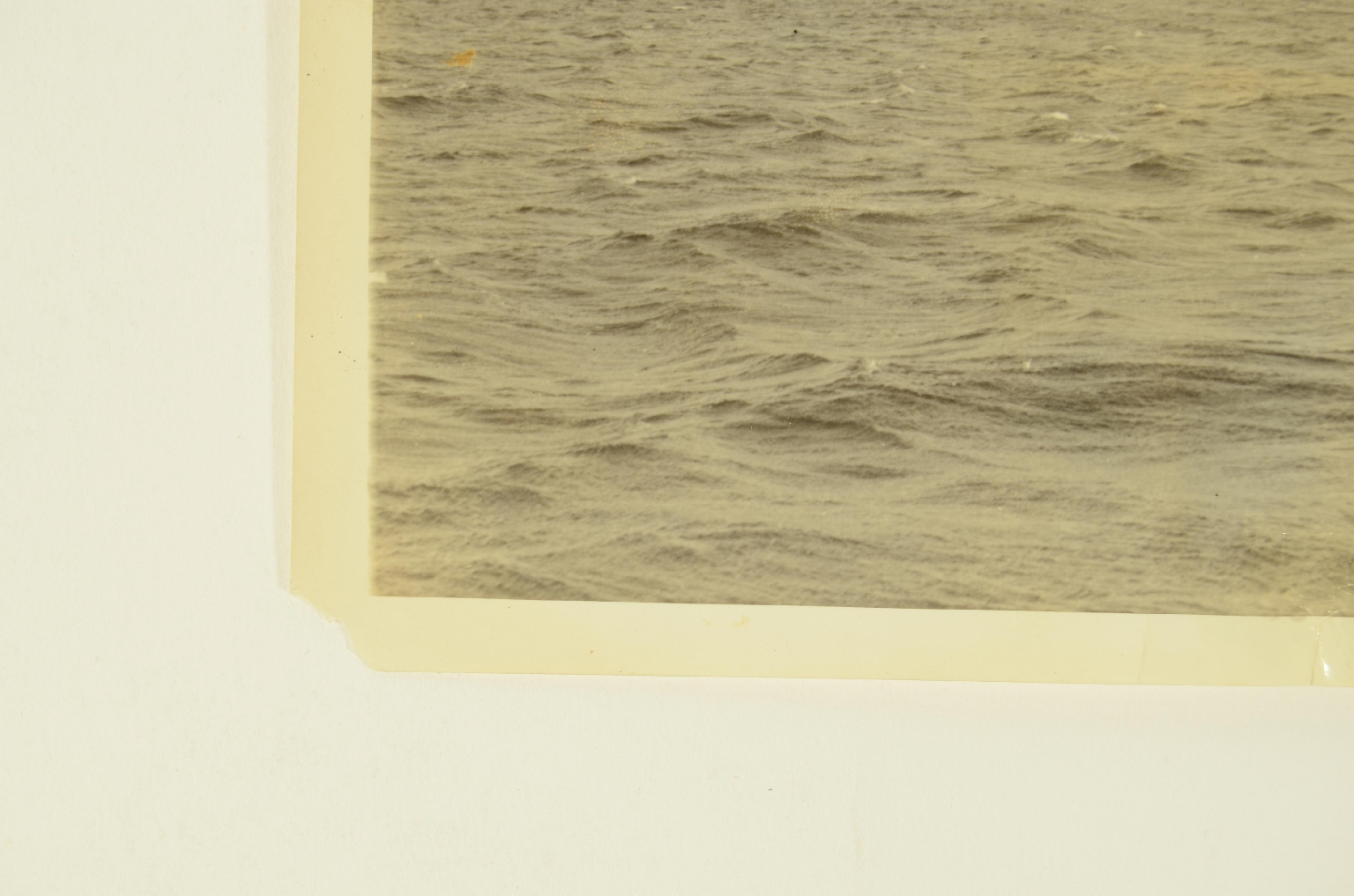 SS REX/R144-Photo Ocean Liner REX