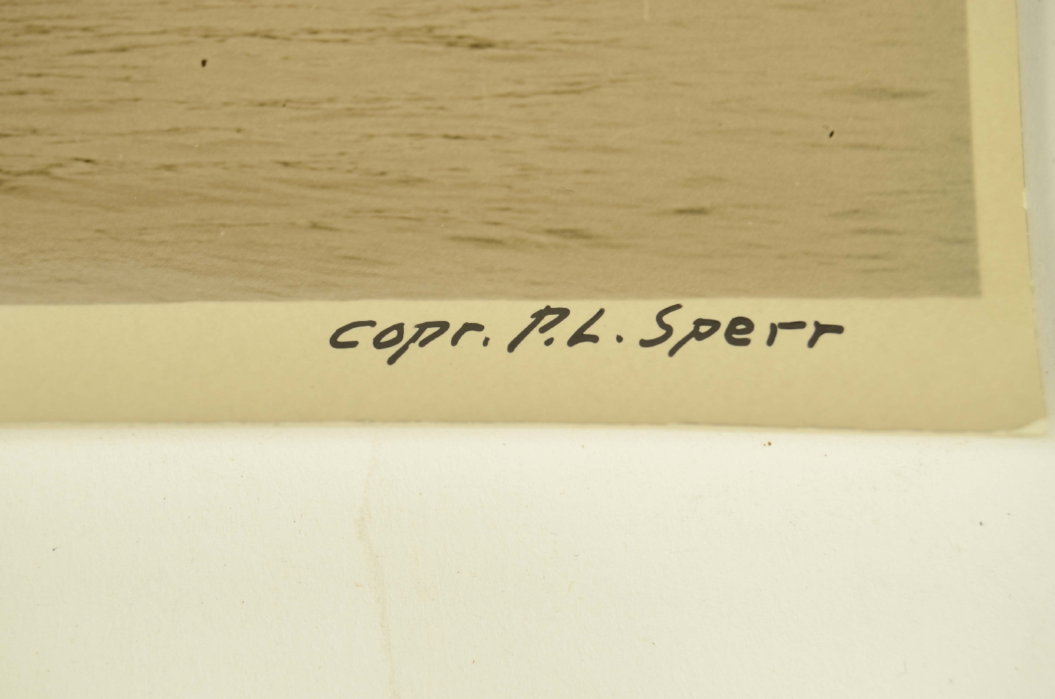 Transatlantico REX/R146-Foto Transatlantico REX