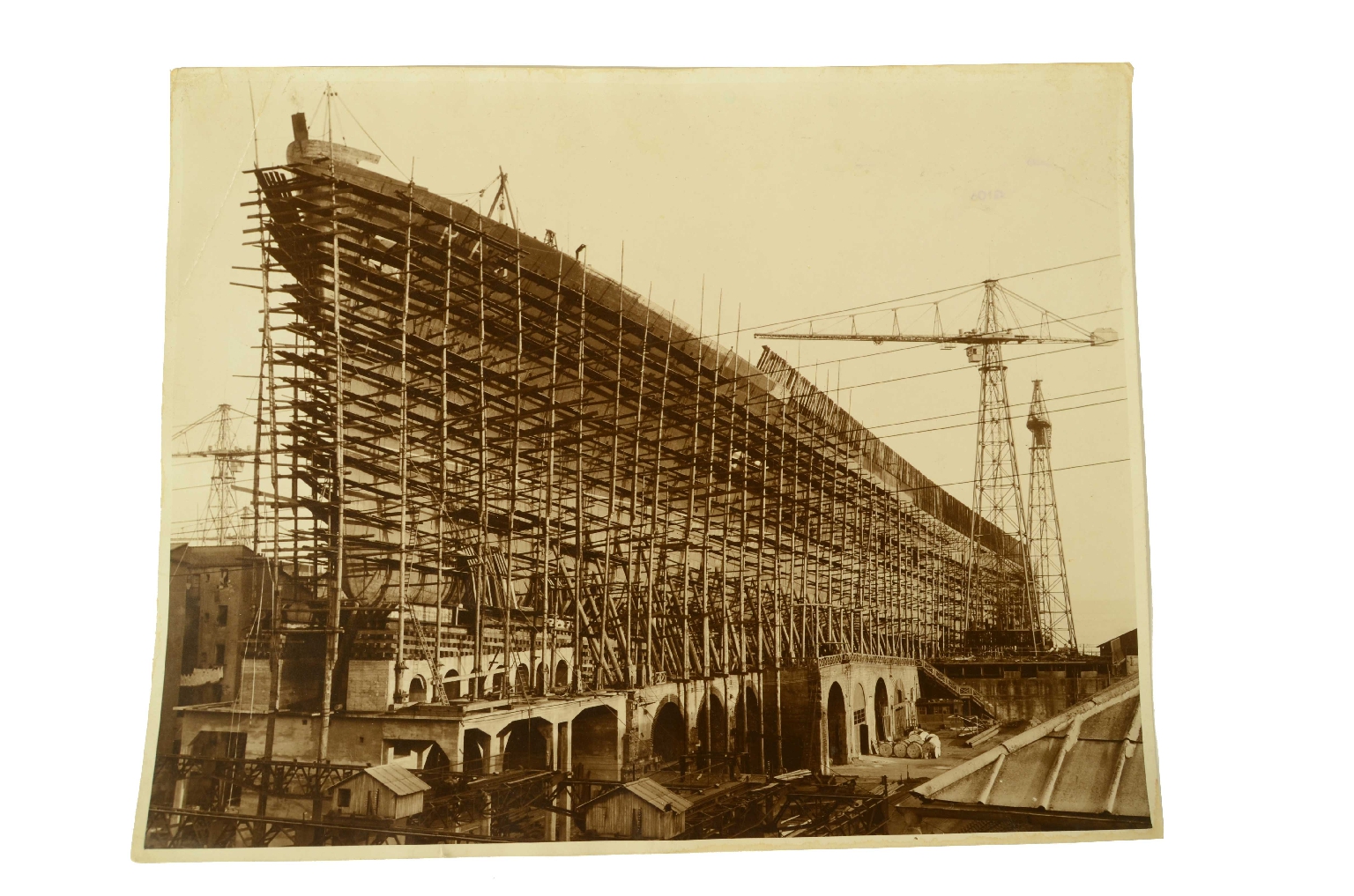 SS REX/R2-Large Photo