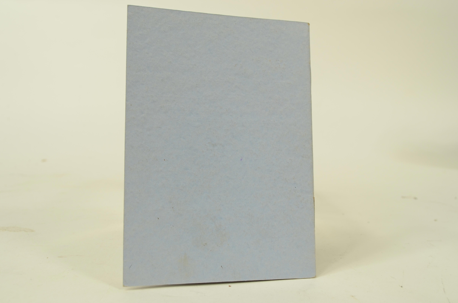 SS REX/R319-Railroid Journey