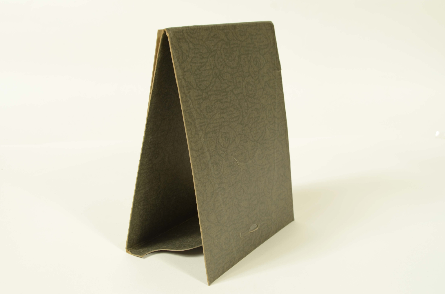 Transatlantico REX/R344-Foto