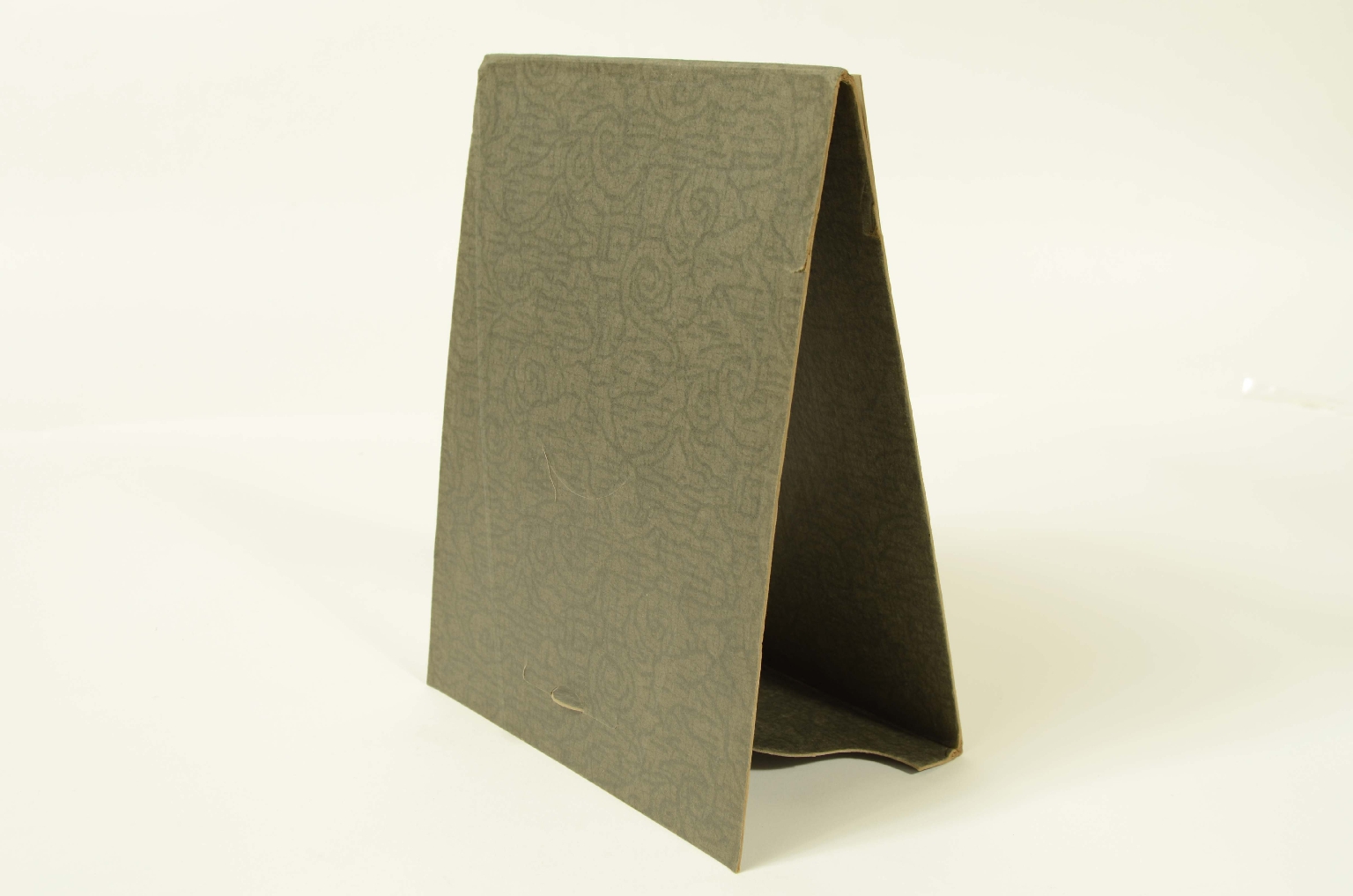 Transatlantico REX/R344-Foto