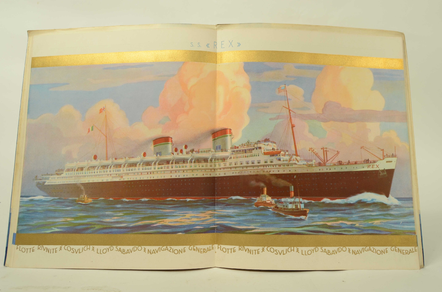 SS REX/R548-REX Brochure