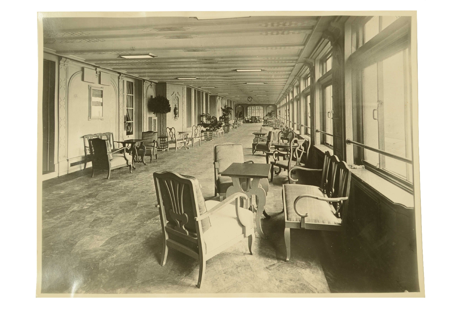 SS REX/R601-Photo Winter Garden