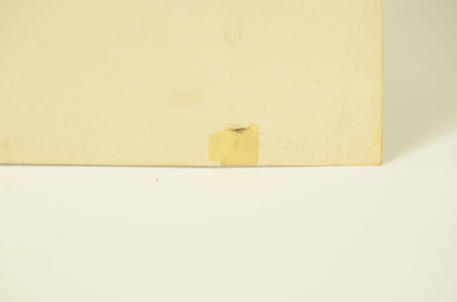 Transatlantico REX/R609-Foto Giardino Inverno