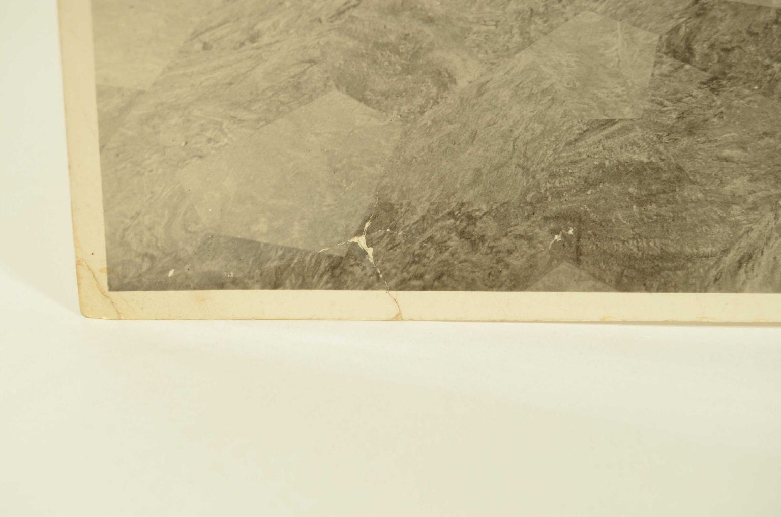 SS REX/R609-Foto Winter Garden