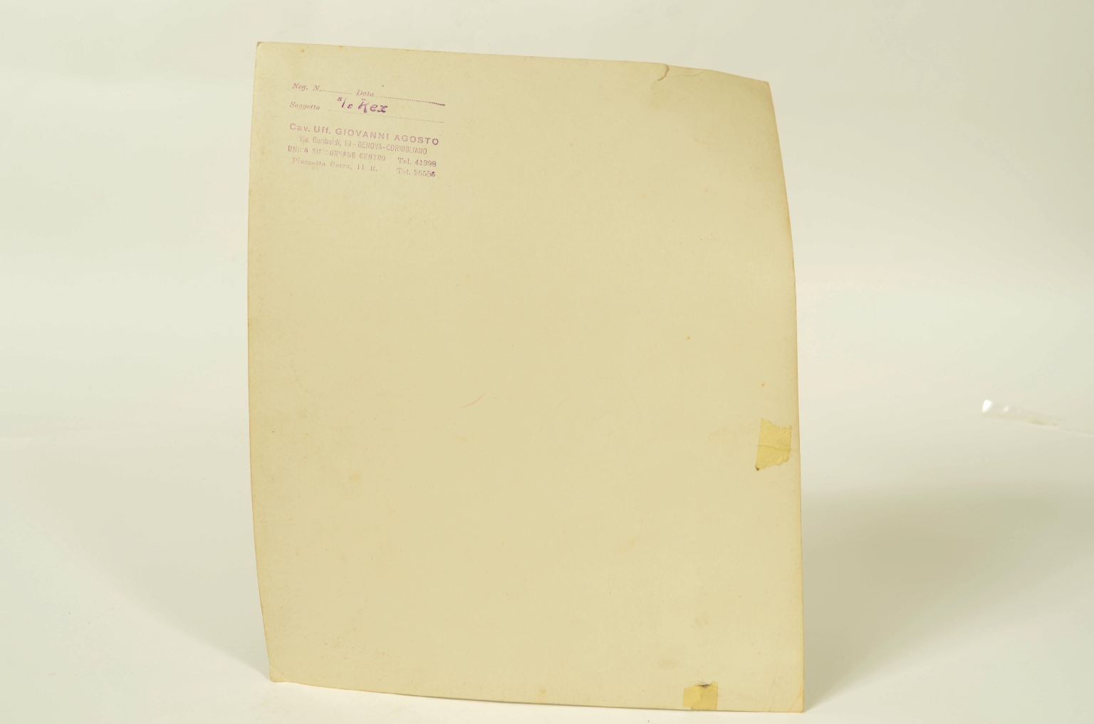 SS REX/R609-Foto Winter Garden