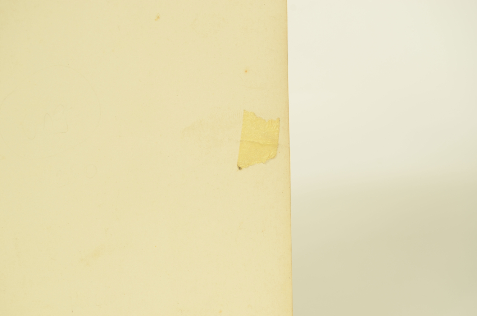 Transatlantico REX/R609-Foto Giardino Inverno